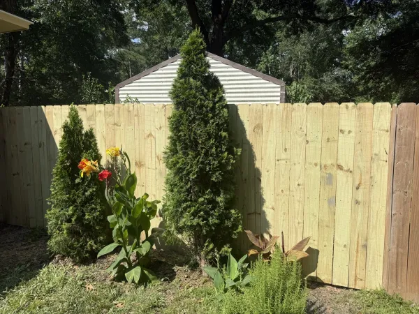 Southern Ethos project 25