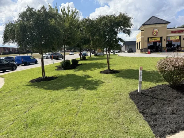 Southern Ethos project 23