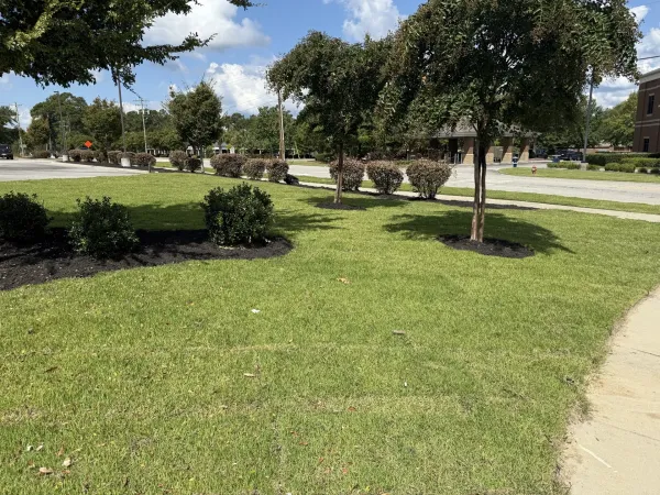 Southern Ethos project 21