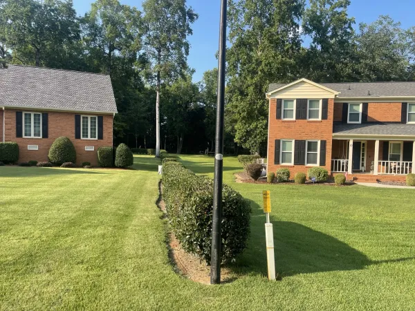 Southern Ethos project 13