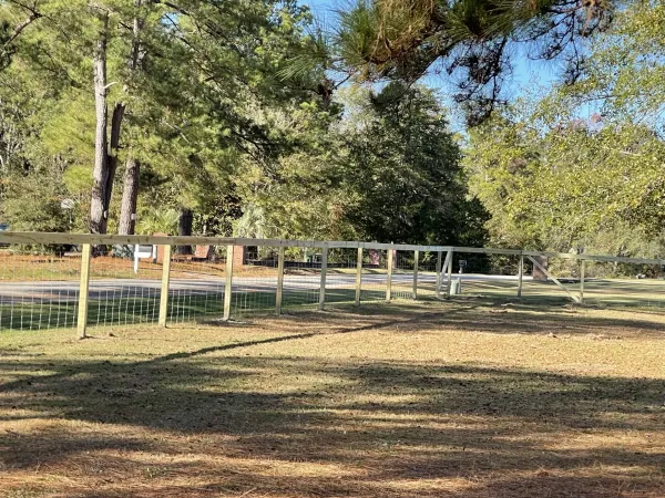 Southern Ethos project 11