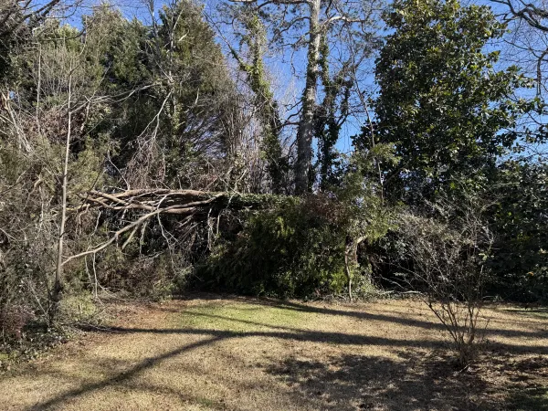 Southern Ethos project 8